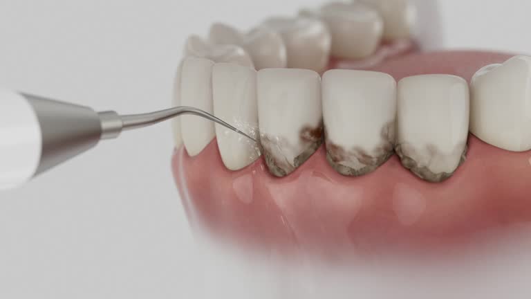 Reliable Dental contractor in Newville, PA by Dentist Open Now